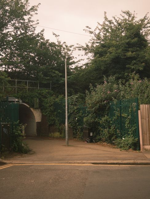 A paved pathway leading into a residential property in Lewisham Way, situated between tall green hedges and trees, with a green metal fence on the right side and an arched entrance partially visible on the left. A tall streetlight stands in the centre of the pathway, which is clear of obstructions. The background shows dense foliage and a clear sky, suggesting late afternoon or early evening lighting. The scene is part of a house removal process managed by Catford Man and Van, with an emphasis on accessible entry for furniture transport and loading for home relocation services.