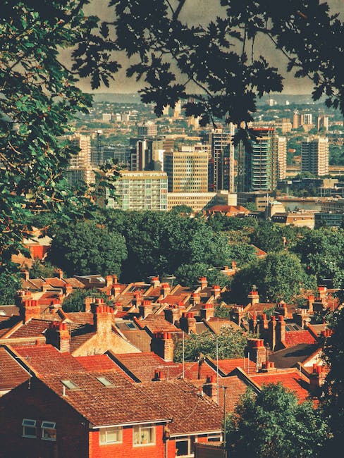 A view of a residential neighborhood with red brick houses, some with chimneys and pitched roofs, surrounded by lush green trees. In the background, there is a cityscape with modern high-rise buildings and office blocks under a clear sky. The foreground features tree branches and leaves partially framing the scene. The image captures a contrast between the quiet, traditional homes in the foreground and the bustling urban area beyond, illustrating a typical London suburban and city environment. This scenery may be relevant for house removals or home relocation services, such as those offered by Catford Man and Van, as shown on the Rushey Green estate flat removals guide page.